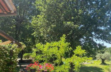 Agriturismo Tenute di Hera - Via Francigena - Foto 14