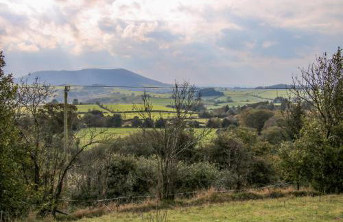 The Chicken Coop - Foto 24