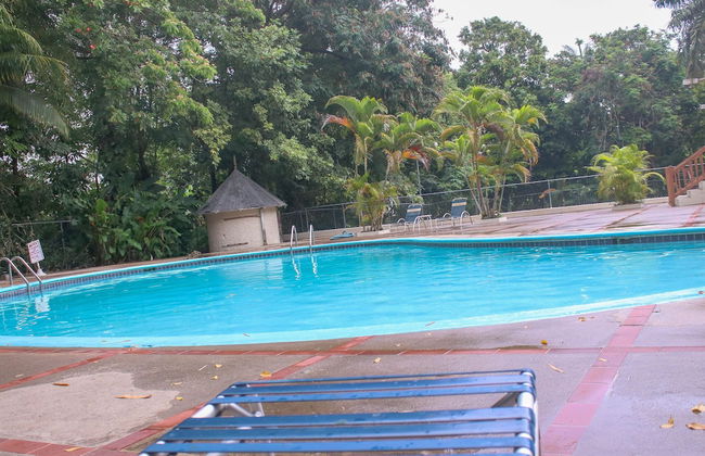 The Blue Mahoe Treehouse - Photo 28