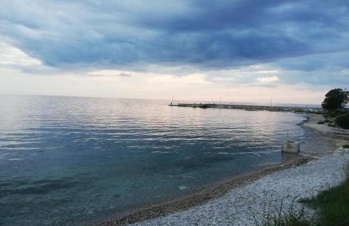 Apartments Oleander Lovrečica-residence with pool - Photo 74