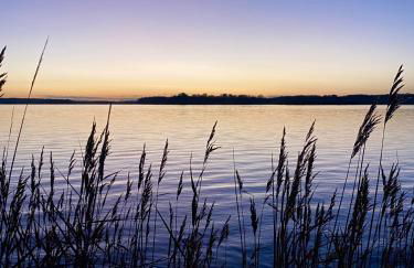 Ferienwohnungen Kapitänskajüte & Ausguck - Foto 29