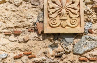 Gallo Fino - Foto 66