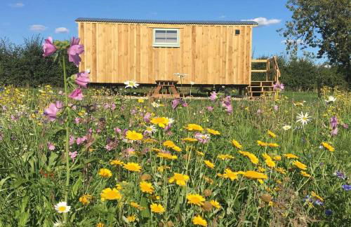 Shepherds Hut 6 - Foto 1