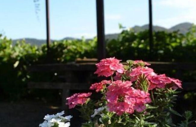 Agriturismo Selvapiana - Foto 46