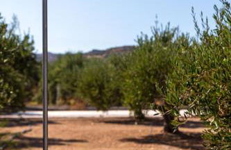 Glaros Kouremenos - Photo 43