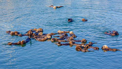 Verdon Oasis - Foto 5