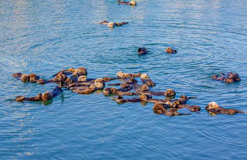 Verdon Oasis - Foto 5