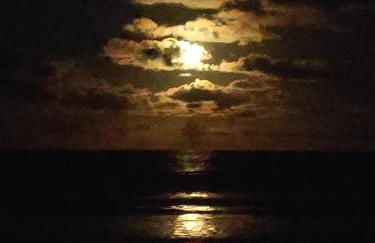 Recanto Calua - Photo 23