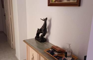 Vela Mar Alta - Foto 10