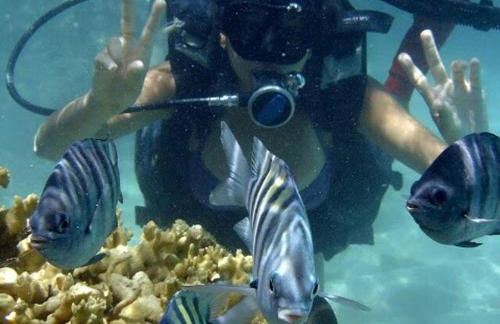 Antunes vila maragogi - Foto 52