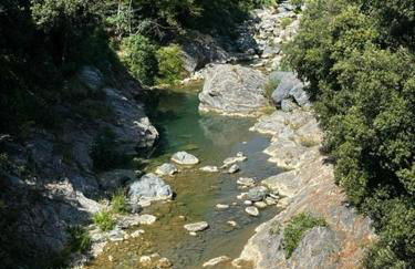 Appart, résidentiel penta-di-Casinca - Foto 23