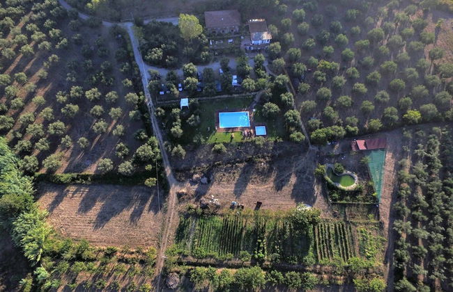 La Gabbianella e il Gatto - Foto 29