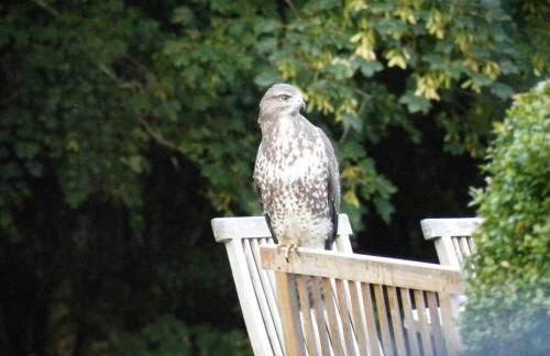 Assynt House - Exclusive Use Holiday House - Foto 43