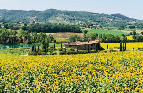 Fontegirasole - a Fontanaro Property - Foto 13