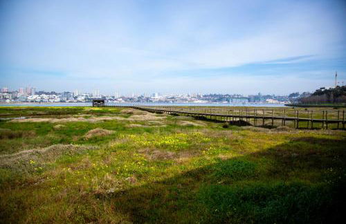 Casa da Barra - Foto 50