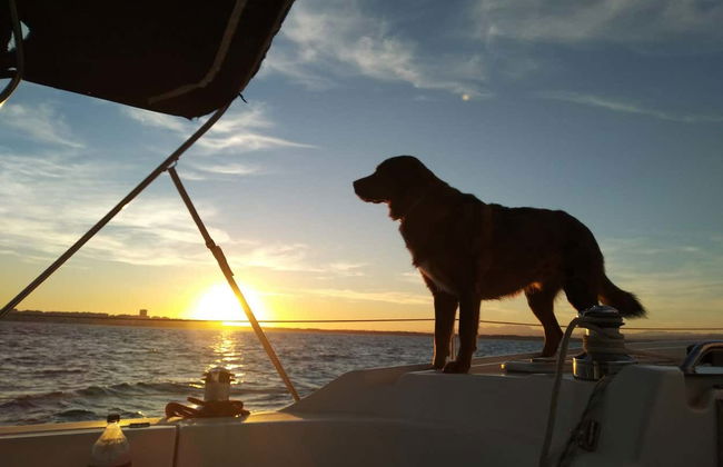 Paseo en velero por Alicante - Photo 5