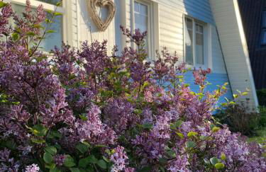 Ferienhaus Seemöwe - Foto 11