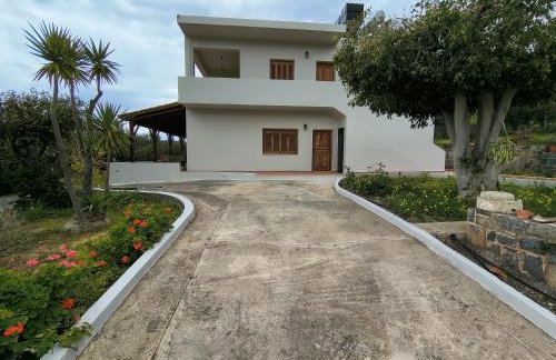 House of Polymnia - Photo 71