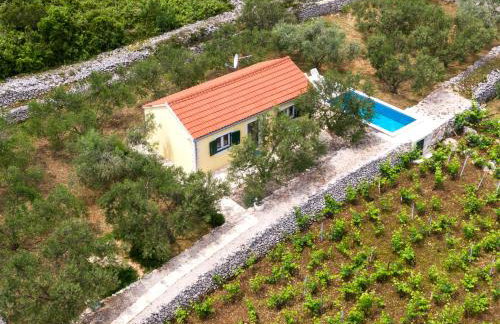 Vineyard House & Olive Grove House - Photo 38
