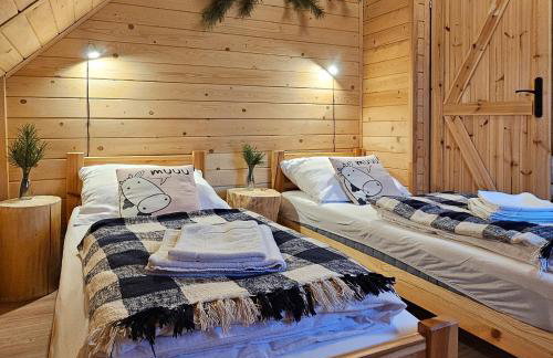 Pastelova Krova - domki w Bieszczadach - Foto 71