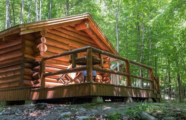 Parc Omega - Foto 14