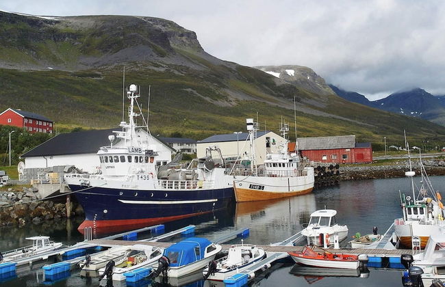 Holiday Home in Arnøyhamn - Foto 29