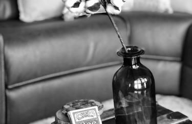 5B Blue Ridge Grandeur-VMI, VA Horse Center, WLU - Foto 47