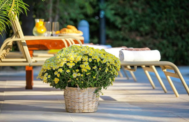 Villa Galina in Neo Chorio - Foto 37