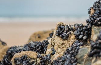 Number Seven - Foto 60