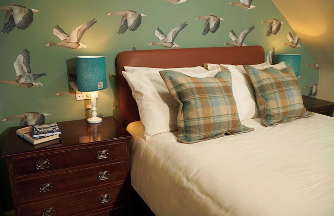 Downright Gabbler - Foto 35