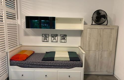 Papero rosso - Foto 20