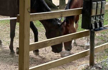 2 Bedroom Logan Ohio Hot Tub - Foto 9