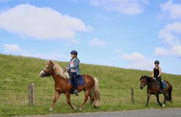 Bauernhof Wulff - Fewo "Föhr" - Foto 41