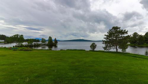 Moose Dance - Foto 3