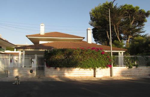 Go PT - Private challet with swimming pool and garden - Foto 53