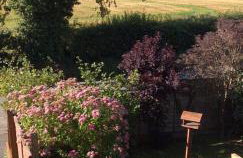 Crow Corner - Foto 20