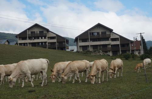 Charmant appartement à Méaudre - 5 pers, parking inclus - FR-1-737-39 - Foto 6