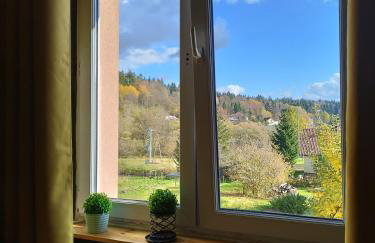 Ropienka Ski - Foto 21