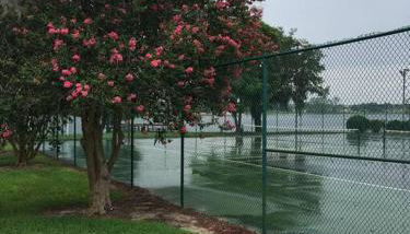 Disney Backyard Oasis - Foto 2