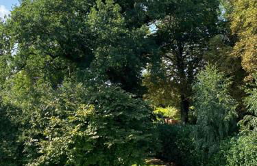 Wohnung auf dem Lande - Foto 24