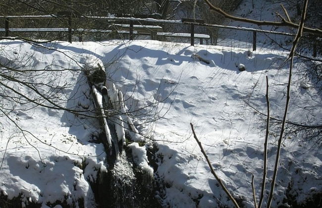 Chalet in Reinskopf With Fireplace - Photo 21