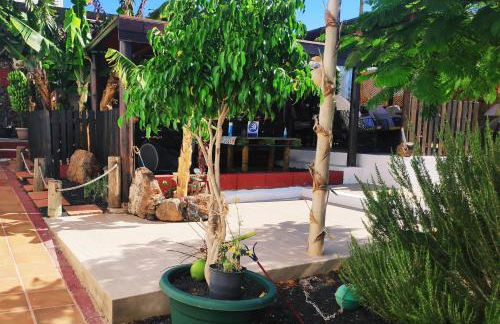 Finca Lucía - El Mirador - Foto 24