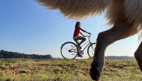 Landdomizil Zeißig - Foto 3