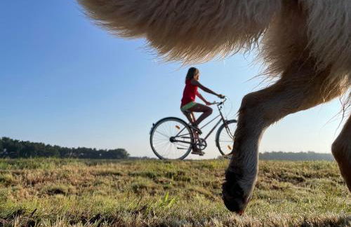 Landdomizil Zeißig - Foto 3