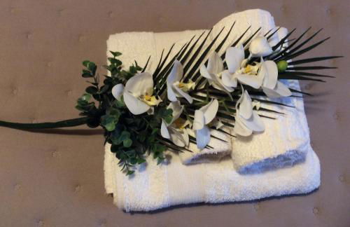 Laura Chianti Vacanze - Photo 8