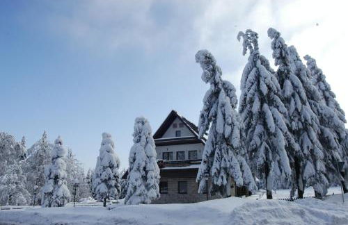 Berggasthof Heuberghaus, direkt am Rennsteig - Foto 16