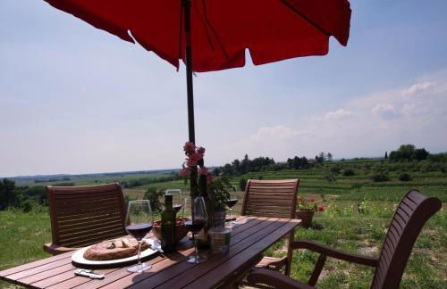 Casali del Picchio - Winery - Foto 34