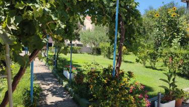 APP Leo - Foto 5, Garden