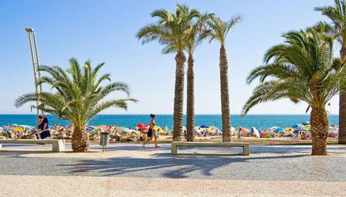 RS Apartamento - Foto 4