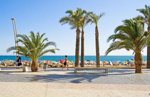 RS Apartamento - Foto 4